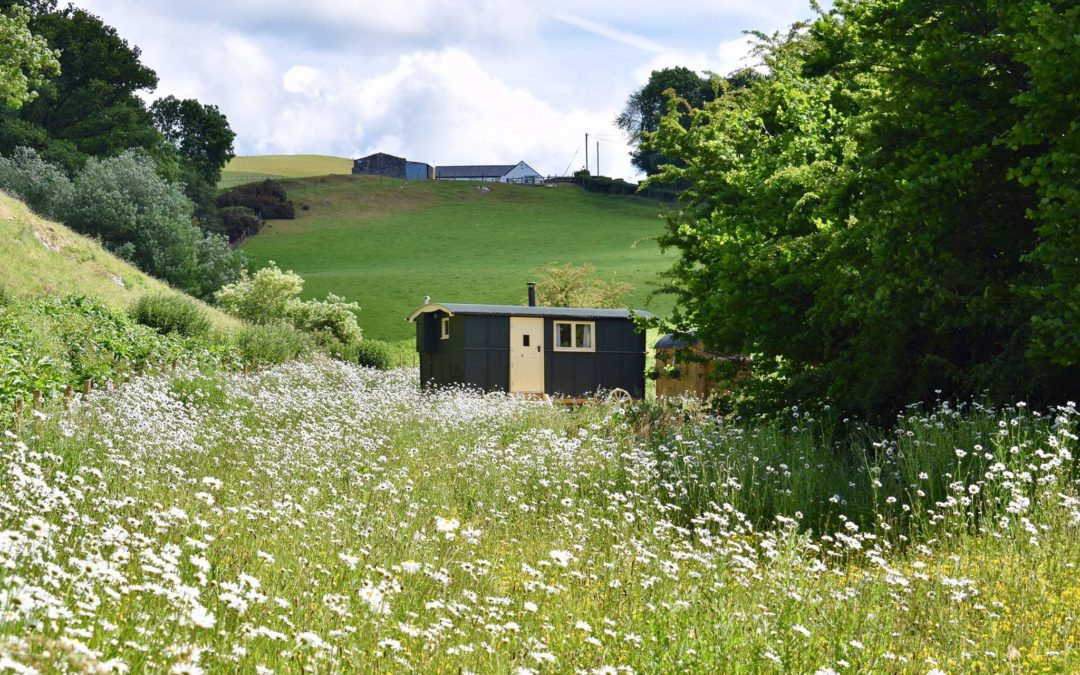 Beuno’s Huts